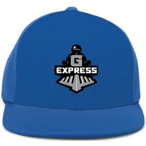 Express Performance Hat