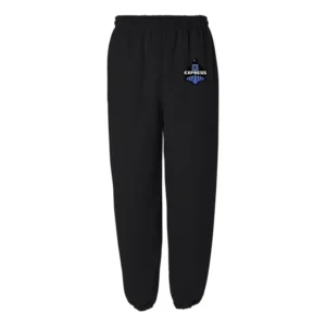Express Classic Fleece Pants