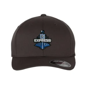 Express Flexfit Cotton Cap