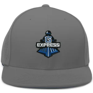Express Performance Hat