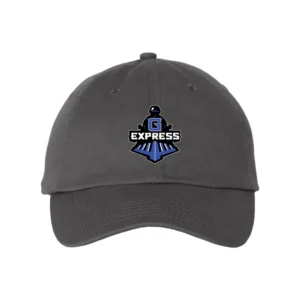 Express Classic Dad Hat